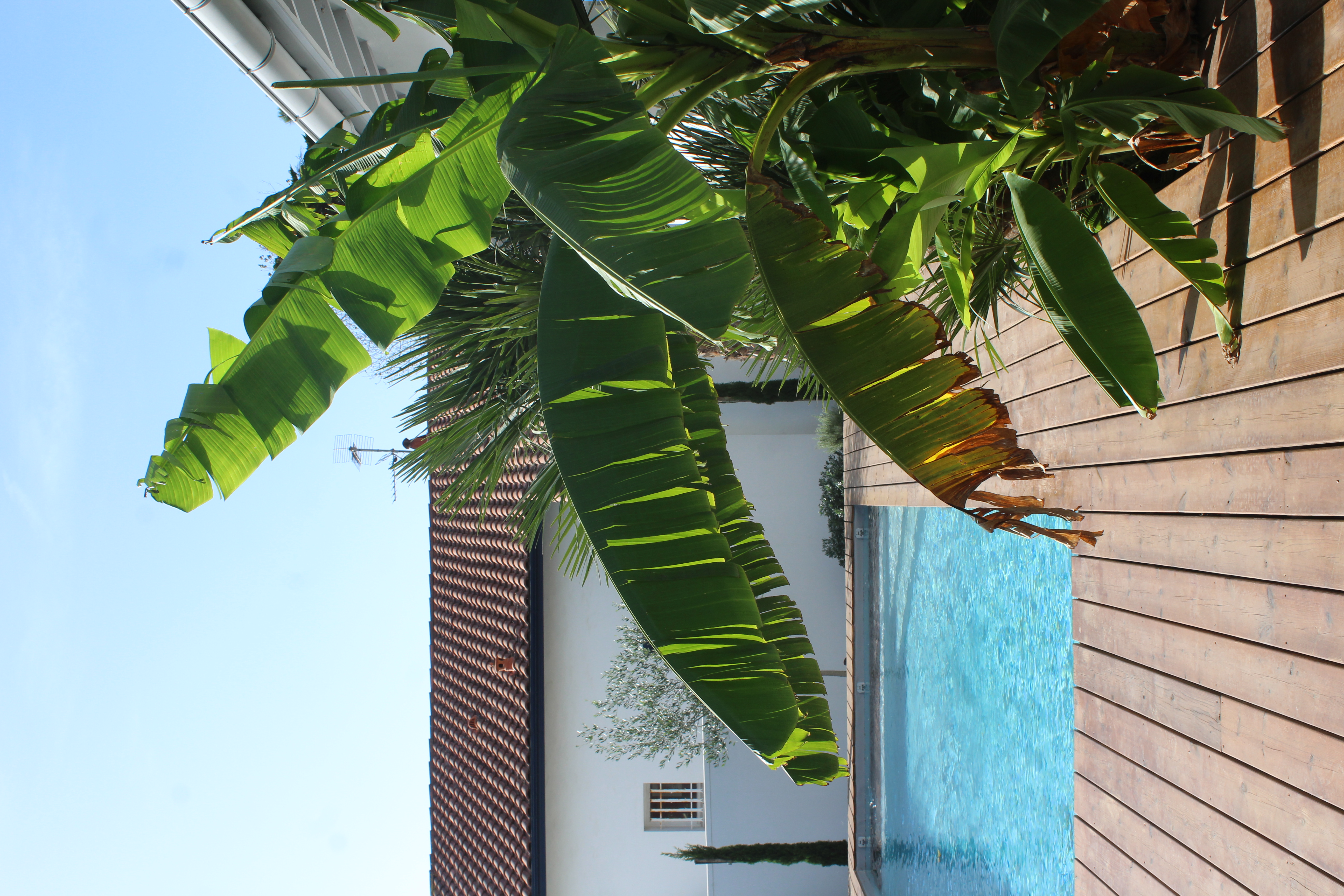 piscine villa bidart rénovation